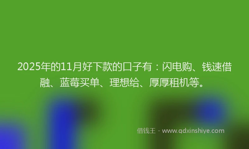 2025年的11月好下款的口子有：闪电购、钱速借融、蓝莓买单、理想给、厚厚租机等。