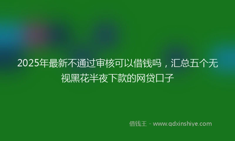 2025年最新不通过审核可以借钱吗，汇总五个无视黑花半夜下款的网贷口子