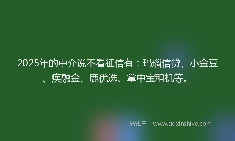 2025年的中介说不看征信有：玛瑙信贷、小金豆、疾融金、鹿优选、掌中宝租机等。
