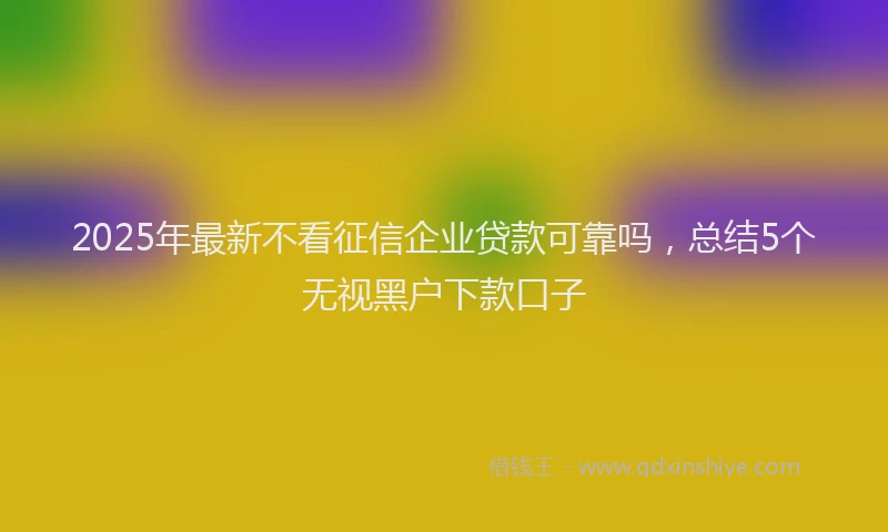 2025年最新不看征信企业贷款可靠吗，总结5个无视黑户下款口子