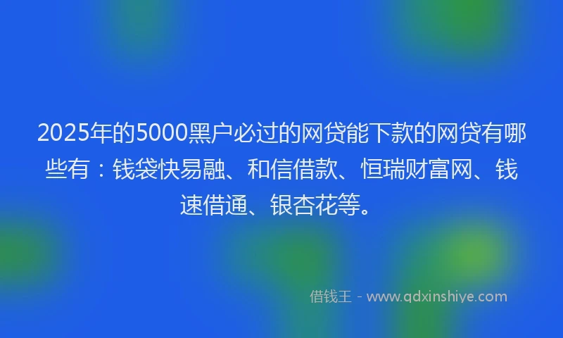2025年的5000黑户必过的网贷能下款的网贷有哪些有：钱袋快易融、和信借款、恒瑞财富网、钱速借通、银杏花等。