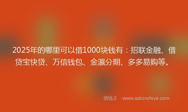 2025年的哪里可以借1000块钱有：招联金融、借贷宝快贷、万信钱包、金瀛分期、多多易购等。