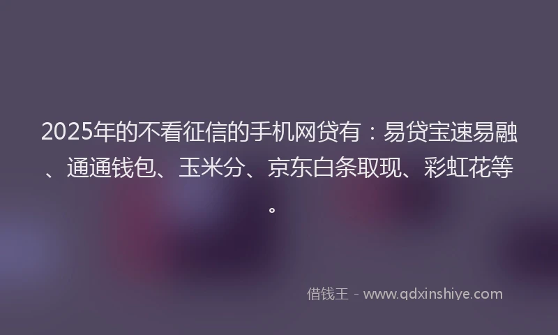 2025年的不看征信的手机网贷有：易贷宝速易融、通通钱包、玉米分、京东白条取现、彩虹花等。