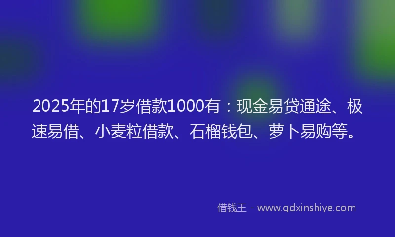 2025年的17岁借款1000有：现金易贷通途、极速易借、小麦粒借款、石榴钱包、萝卜易购等。