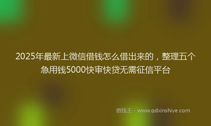 2025年最新上微信借钱怎么借出来的，整理五个急用钱5000快审快贷无需征信平台
