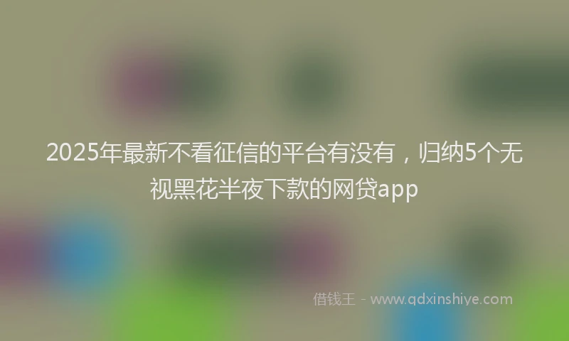 2025年最新不看征信的平台有没有，归纳5个无视黑花半夜下款的网贷app