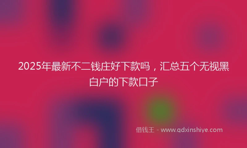 2025年最新不二钱庄好下款吗，汇总五个无视黑白户的下款口子