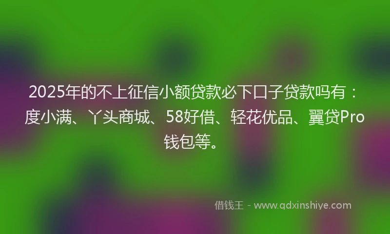 2025年的不上征信小额贷款必下口子贷款吗有：度小满、丫头商城、58好借、轻花优品、翼贷Pro钱包等。