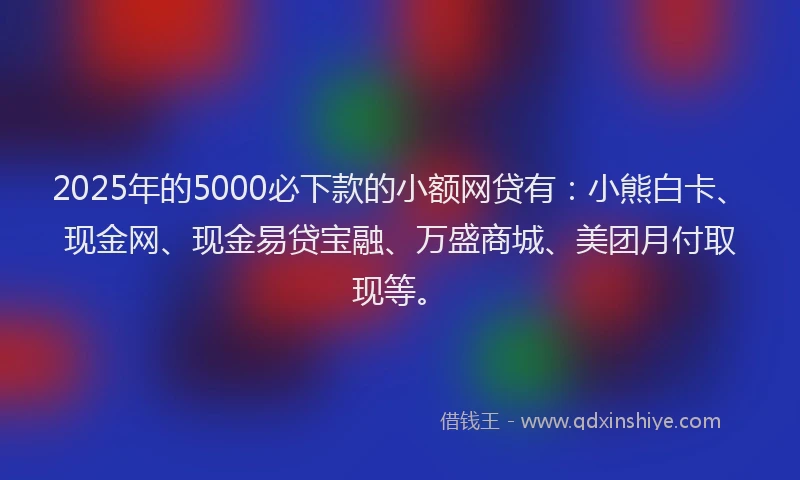 2025年的5000必下款的小额网贷有：小熊白卡、现金网、现金易贷宝融、万盛商城、美团月付取现等。