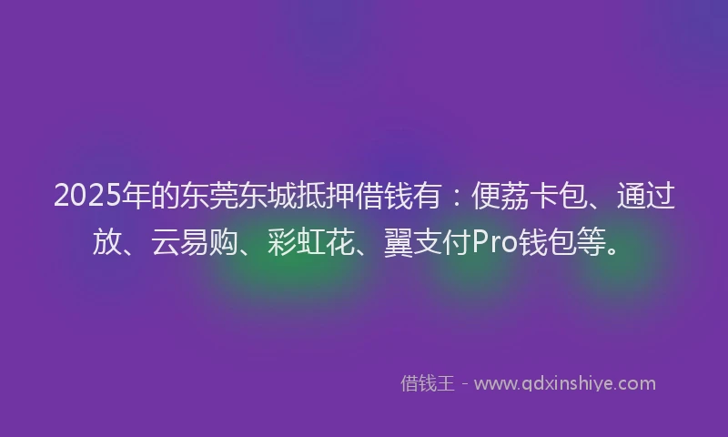 2025年的东莞东城抵押借钱有：便荔卡包、通过放、云易购、彩虹花、翼支付Pro钱包等。