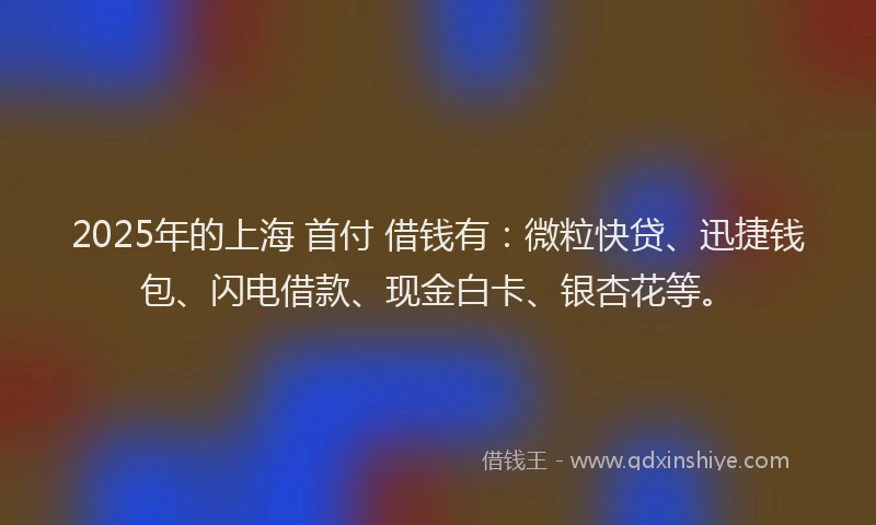 2025年的上海 首付 借钱有：微粒快贷、迅捷钱包、闪电借款、现金白卡、银杏花等。