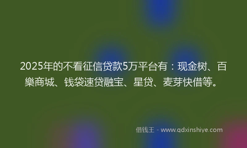 2025年的不看征信贷款5万平台有：现金树、百樂商城、钱袋速贷融宝、星贷、麦芽快借等。