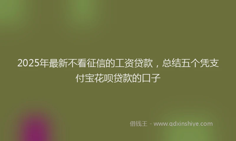 2025年最新不看征信的工资贷款，总结五个凭支付宝花呗贷款的口子