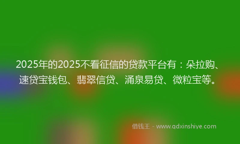 2025年的2025不看征信的贷款平台有：朵拉购、速贷宝钱包、翡翠信贷、涌泉易贷、微粒宝等。