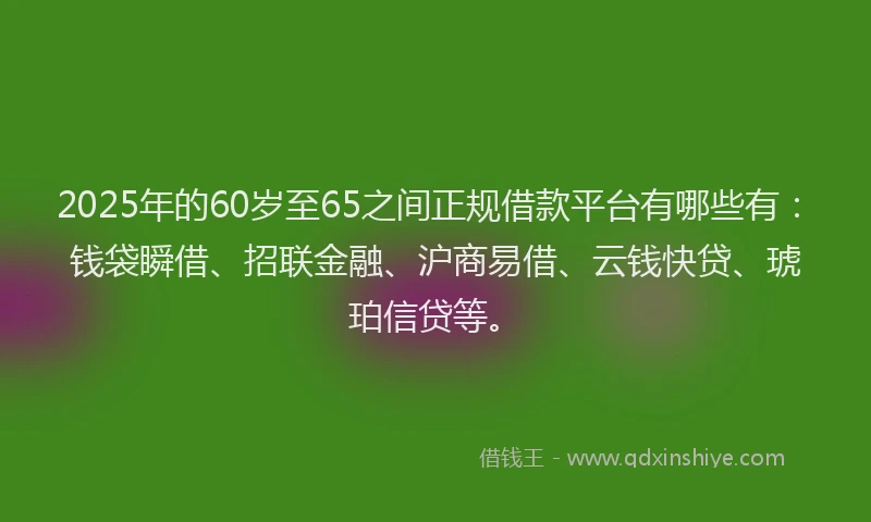 2025年的60岁至65之间正规借款平台有哪些有：钱袋瞬借、招联金融、沪商易借、云钱快贷、琥珀信贷等。