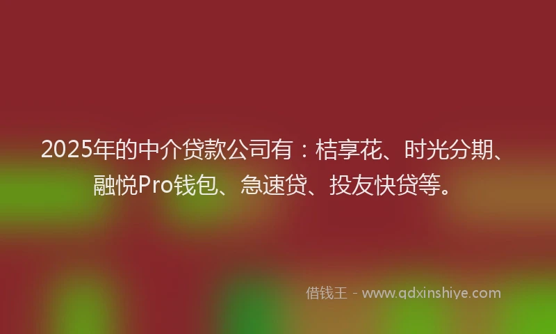 2025年的中介贷款公司有：桔享花、时光分期、融悦Pro钱包、急速贷、投友快贷等。