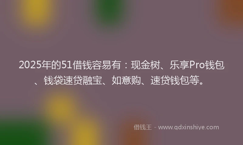 2025年的51借钱容易有：现金树、乐享Pro钱包、钱袋速贷融宝、如意购、速贷钱包等。