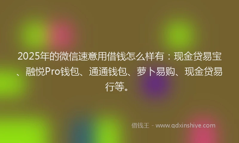 2025年的微信速意用借钱怎么样有：现金贷易宝、融悦Pro钱包、通通钱包、萝卜易购、现金贷易行等。