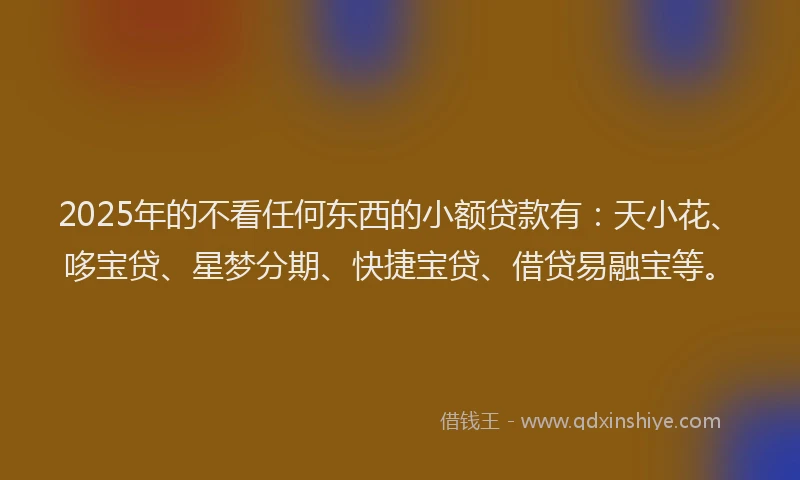 2025年的不看任何东西的小额贷款有：天小花、哆宝贷、星梦分期、快捷宝贷、借贷易融宝等。