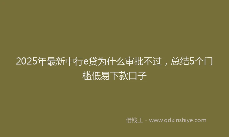 2025年最新中行e贷为什么审批不过，总结5个门槛低易下款口子