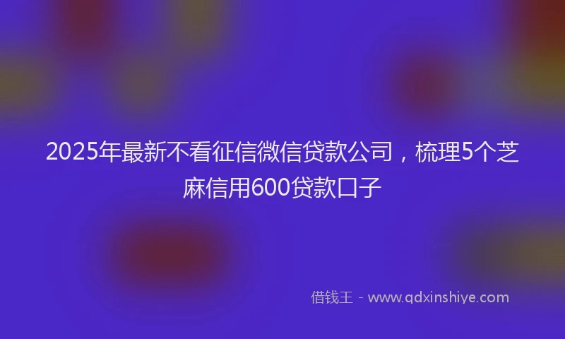 2025年最新不看征信微信贷款公司，梳理5个芝麻信用600贷款口子