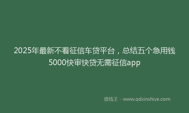 2025年最新不看征信车贷平台，总结五个急用钱5000快审快贷无需征信app