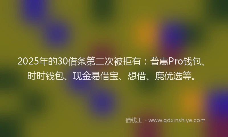 2025年的30借条第二次被拒有：普惠Pro钱包、时时钱包、现金易借宝、想借、鹿优选等。