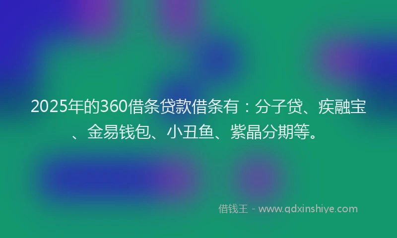 2025年的360借条贷款借条有：分子贷、疾融宝、金易钱包、小丑鱼、紫晶分期等。