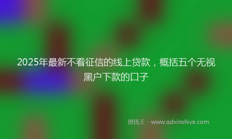 2025年最新不看征信的线上贷款，概括五个无视黑户下款的口子
