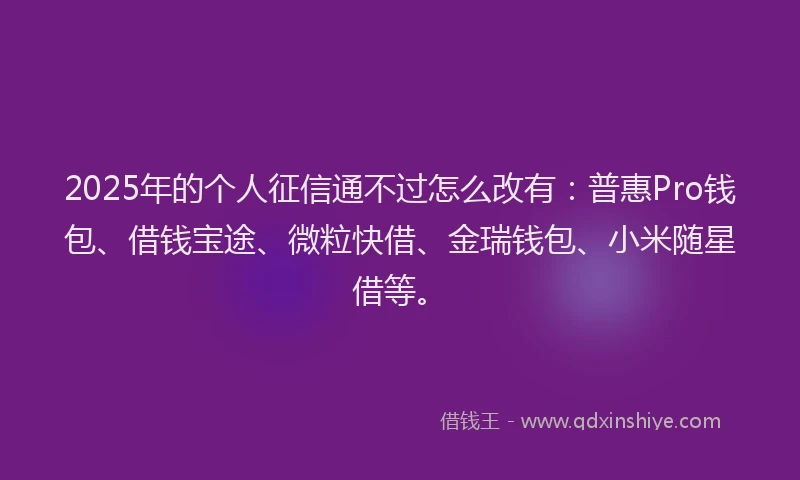 2025年的个人征信通不过怎么改有：普惠Pro钱包、借钱宝途、微粒快借、金瑞钱包、小米随星借等。