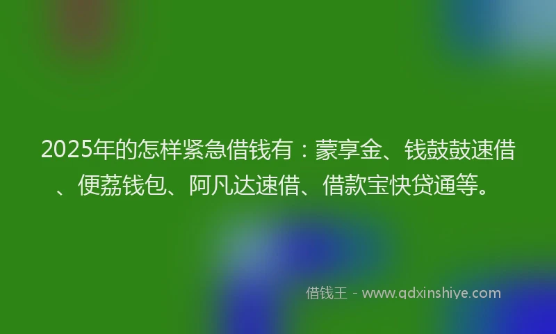 2025年的怎样紧急借钱有：蒙享金、钱鼓鼓速借、便荔钱包、阿凡达速借、借款宝快贷通等。