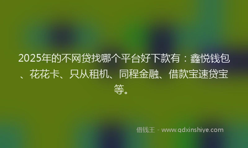 2025年的不网贷找哪个平台好下款有：鑫悦钱包、花花卡、只从租机、同程金融、借款宝速贷宝等。