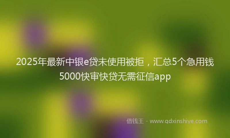 2025年最新中银e贷未使用被拒，汇总5个急用钱5000快审快贷无需征信app