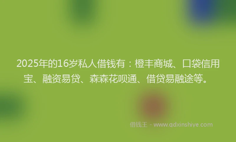 2025年的16岁私人借钱有：橙丰商城、口袋信用宝、融资易贷、森森花呗通、借贷易融途等。