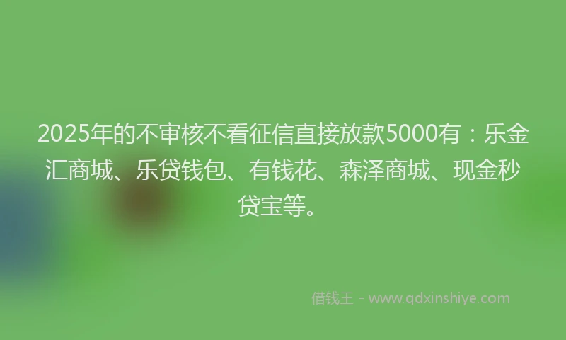 2025年的不审核不看征信直接放款5000有：乐金汇商城、乐贷钱包、有钱花、森泽商城、现金秒贷宝等。