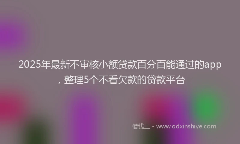 2025年最新不审核小额贷款百分百能通过的app，整理5个不看欠款的贷款平台