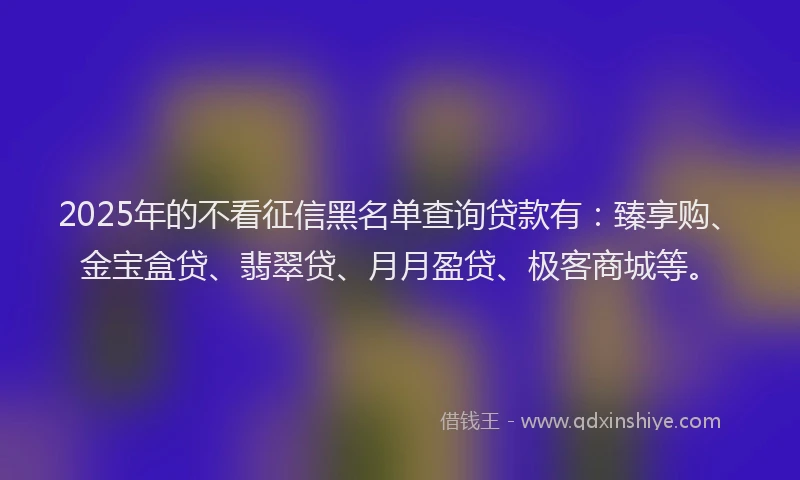 2025年的不看征信黑名单查询贷款有：臻享购、金宝盒贷、翡翠贷、月月盈贷、极客商城等。