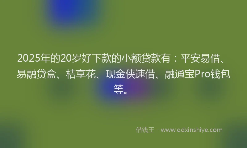 2025年的20岁好下款的小额贷款有：平安易借、易融贷盒、桔享花、现金侠速借、融通宝Pro钱包等。