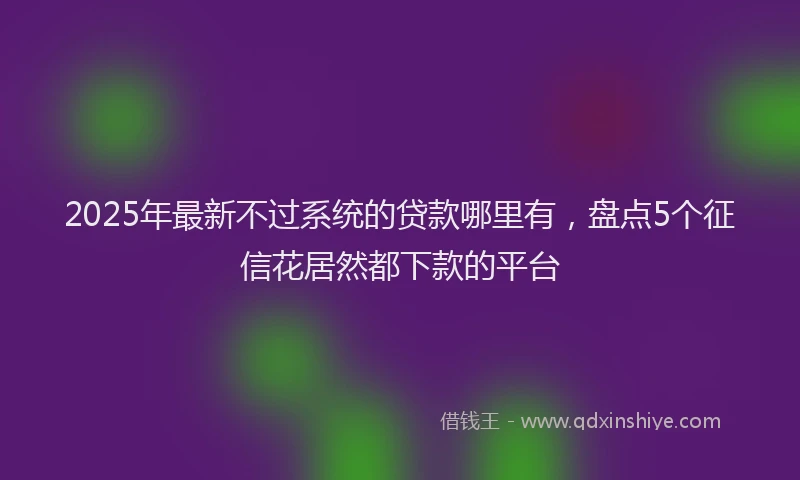 2025年最新不过系统的贷款哪里有，盘点5个征信花居然都下款的平台
