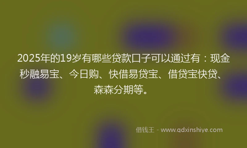 2025年的19岁有哪些贷款口子可以通过有：现金秒融易宝、今日购、快借易贷宝、借贷宝快贷、森森分期等。
