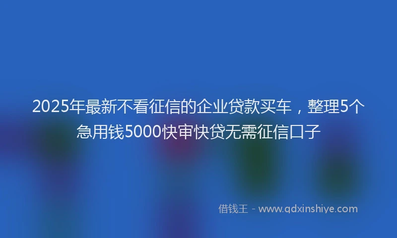 2025年最新不看征信的企业贷款买车，整理5个急用钱5000快审快贷无需征信口子