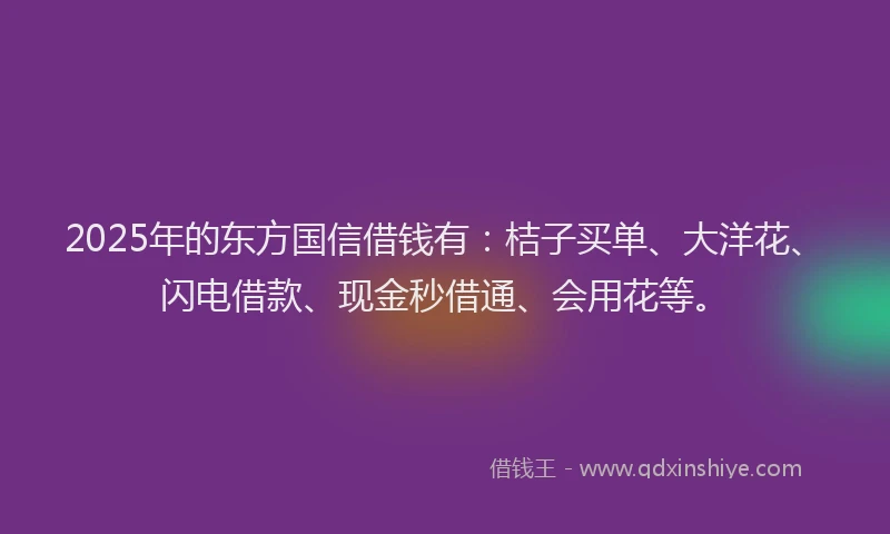 2025年的东方国信借钱有：桔子买单、大洋花、闪电借款、现金秒借通、会用花等。