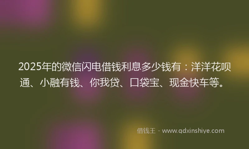 2025年的微信闪电借钱利息多少钱有：洋洋花呗通、小融有钱、你我贷、口袋宝、现金快车等。