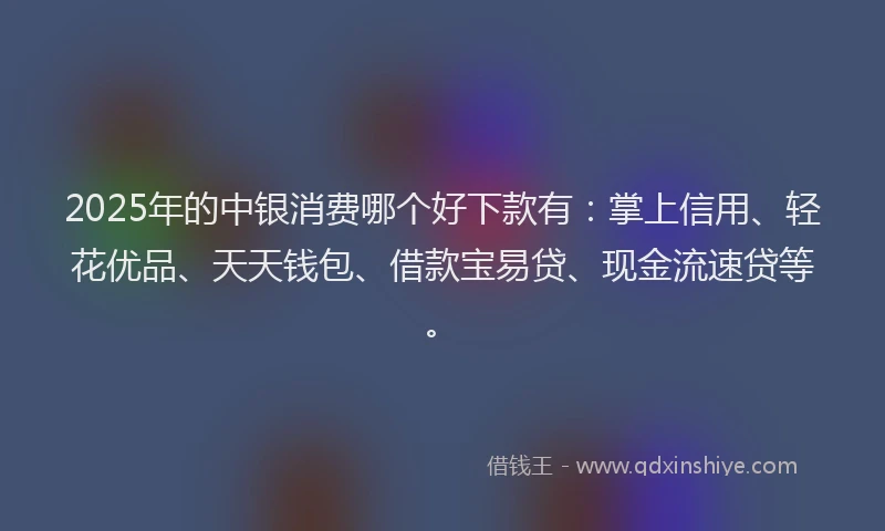 2025年的中银消费哪个好下款有：掌上信用、轻花优品、天天钱包、借款宝易贷、现金流速贷等。