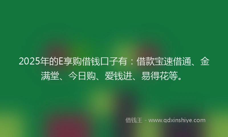 2025年的E享购借钱口子有：借款宝速借通、金满堂、今日购、爱钱进、易得花等。