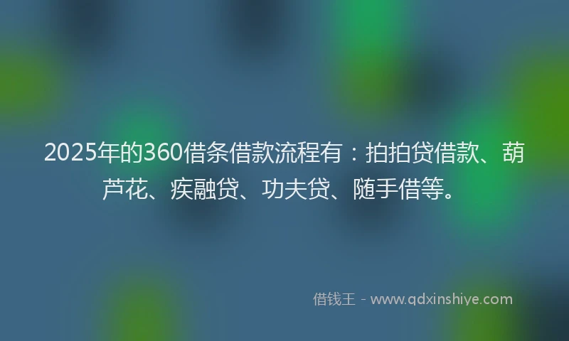 2025年的360借条借款流程有：拍拍贷借款、葫芦花、疾融贷、功夫贷、随手借等。