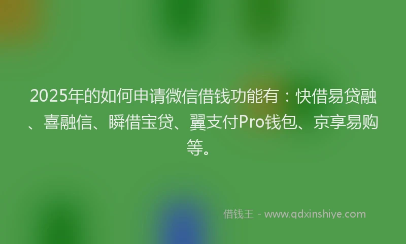 2025年的如何申请微信借钱功能有：快借易贷融、喜融信、瞬借宝贷、翼支付Pro钱包、京享易购等。