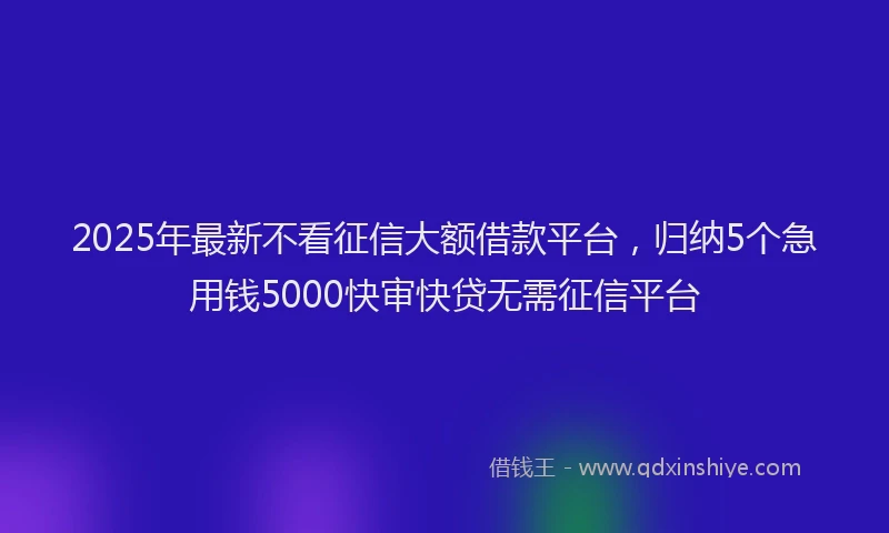 2025年最新不看征信大额借款平台，归纳5个急用钱5000快审快贷无需征信平台