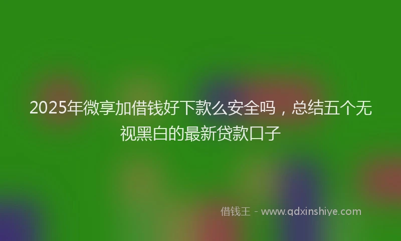 2025年微享加借钱好下款么安全吗，总结五个无视黑白的最新贷款口子