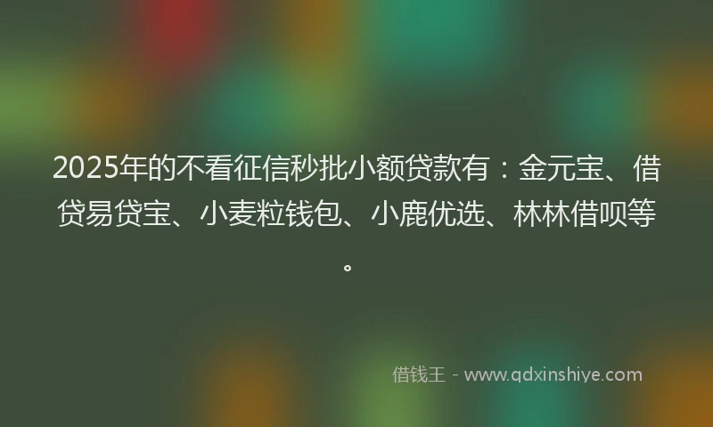 2025年的不看征信秒批小额贷款有:金元宝、借贷易贷宝、小麦粒钱包、小鹿优选、林林借呗等。